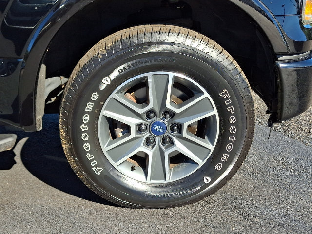 Used 2016 Ford F150 XLT w/ Equipment Group 301A Mid AWD/4WD image 8
