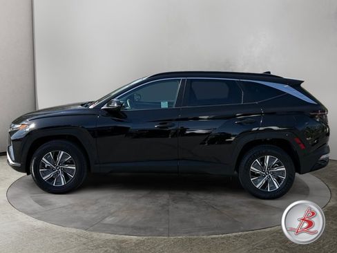 Used 2023 Hyundai Tucson Blue AWD/4WD image 4