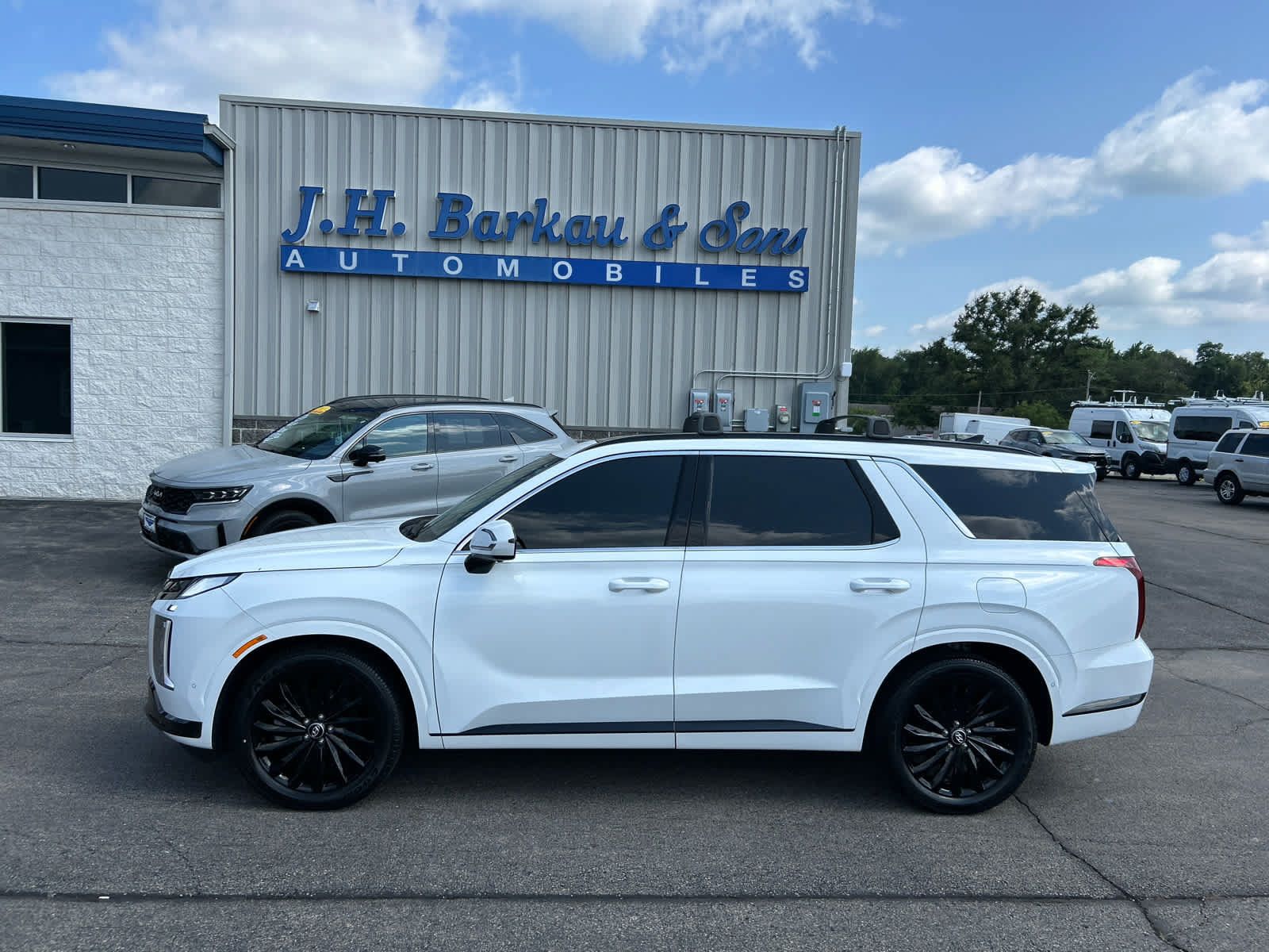 Used 2024 Hyundai Palisade Calligraphy AWD/4WD image 8