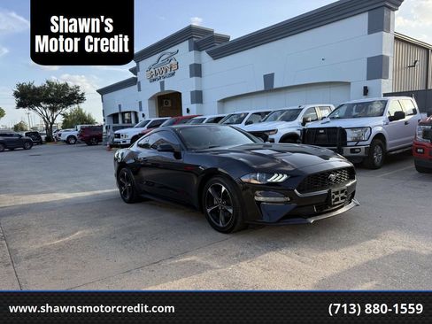 Used 2022 Ford Mustang Coupe w/ Equipment Group 101A RWD image 1