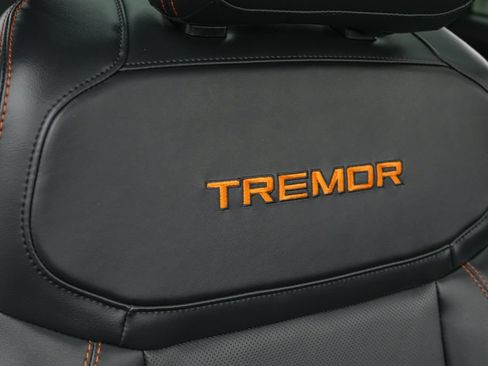Certified 2025 Ford Expedition Tremor AWD/4WD image 39