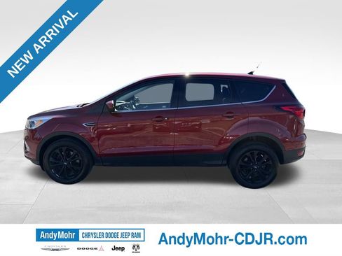Used 2019 Ford Escape SE AWD/4WD image 4
