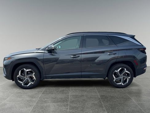 Used 2023 Hyundai Tucson Limited AWD/4WD image 2