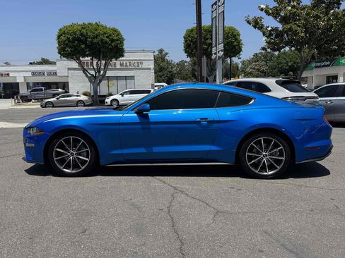 Used 2019 Ford Mustang Coupe w/ Equipment Group 101A RWD image 3