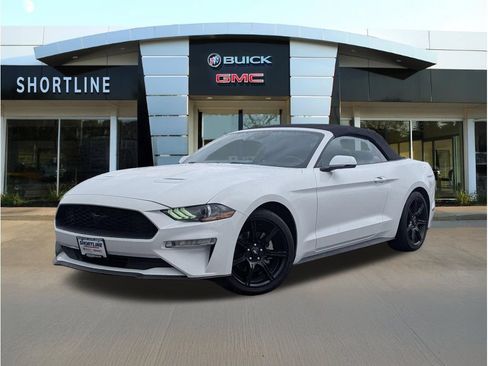 Used 2019 Ford Mustang Premium w/ Equipment Group 201A RWD image 8