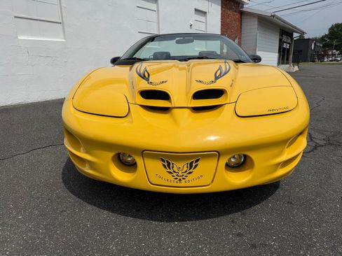 Used 2002 Pontiac Firebird Trans Am RWD image 4
