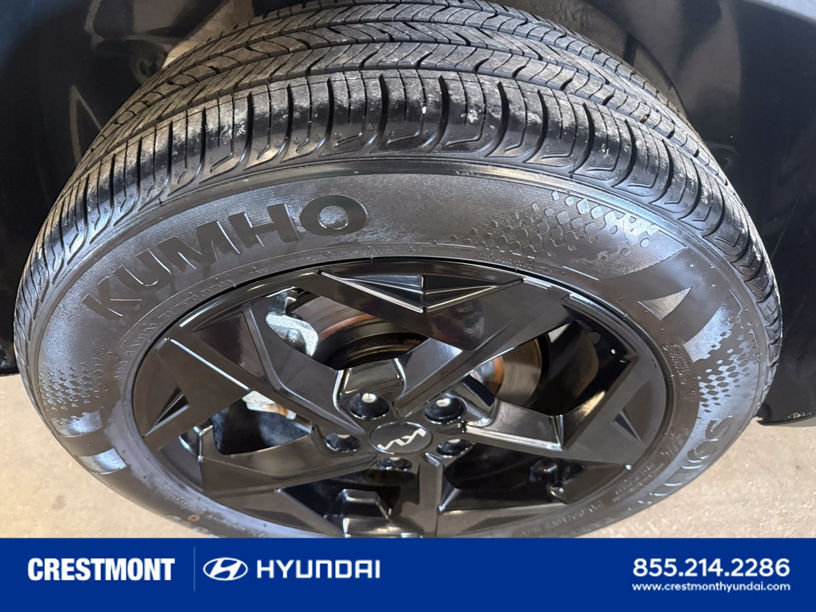 Used 2026 Kia Seltos EX w/ EX Sunroof Package AWD/4WD image 14
