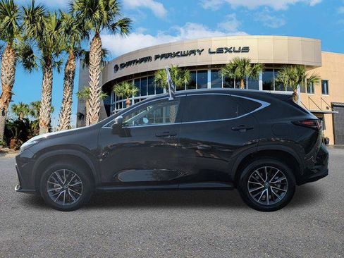 Certified 2025 Lexus NX 350 AWD w/ Premium Package image 8