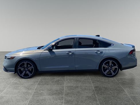 Used 2024 Honda Accord Sport image 2