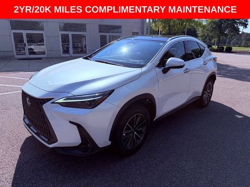 Used 2024 Lexus NX 350h AWD w/ Vision Package image 3