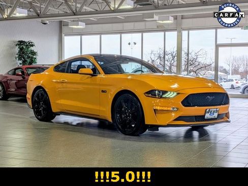 Used 2019 Ford Mustang GT w/ Equipment Group 301A image 2
