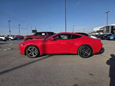 Used 2025 Ford Mustang EcoBoost image 4