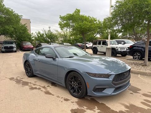 Used 2024 Ford Mustang Coupe w/ Mustang Nite Pony Package image 3