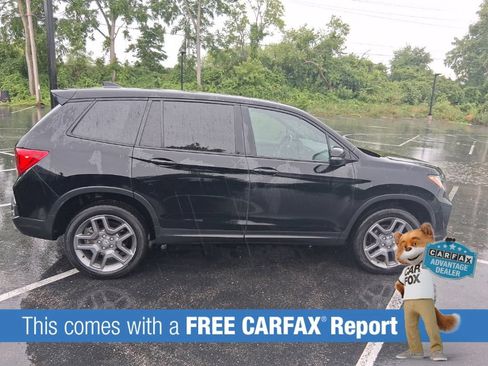 Used 2023 Honda Passport EX-L image 3
