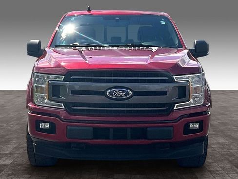 Used 2019 Ford F150 XLT w/ Equipment Group 302A Luxury AWD/4WD image 26