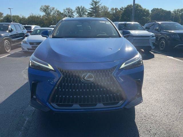 Certified 2025 Lexus NX 350h AWD w/ Cold Area Package image 2