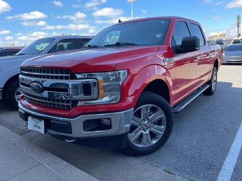 Used 2019 Ford F150 XLT w/ Equipment Group 302A Luxury image 1