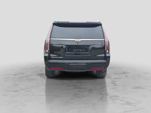 Used 2019 Cadillac Escalade Luxury w/ LPO, Radiant Package AWD/4WD image 7
