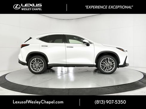 Used 2022 Lexus NX 350h 350h Luxury w/ Vision Package image 4