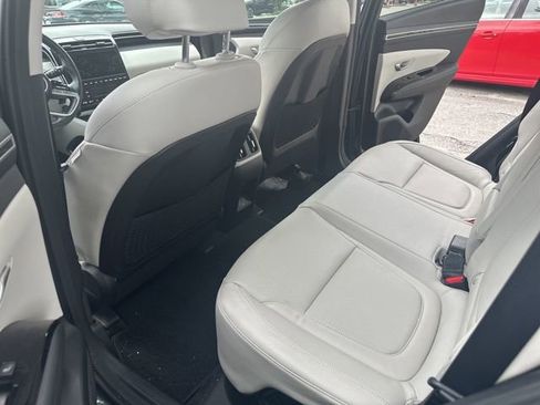 Used 2024 Hyundai Tucson Limited AWD/4WD image 6