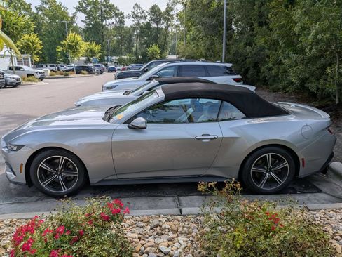 Used 2024 Ford Mustang Premium RWD image 5