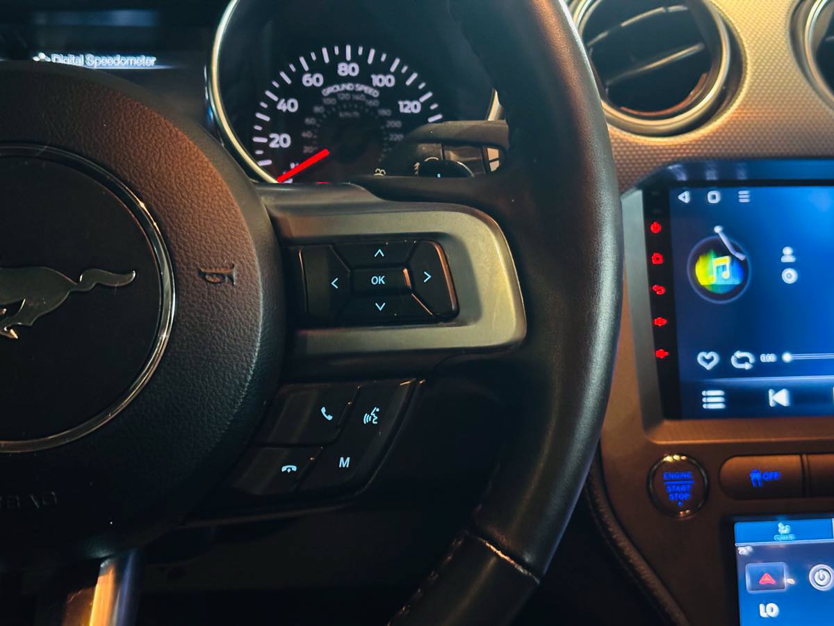 Used 2019 Ford Mustang GT RWD image 46