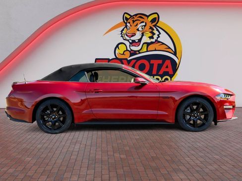 Used 2019 Ford Mustang GT Premium w/ Equipment Group 401A RWD image 4