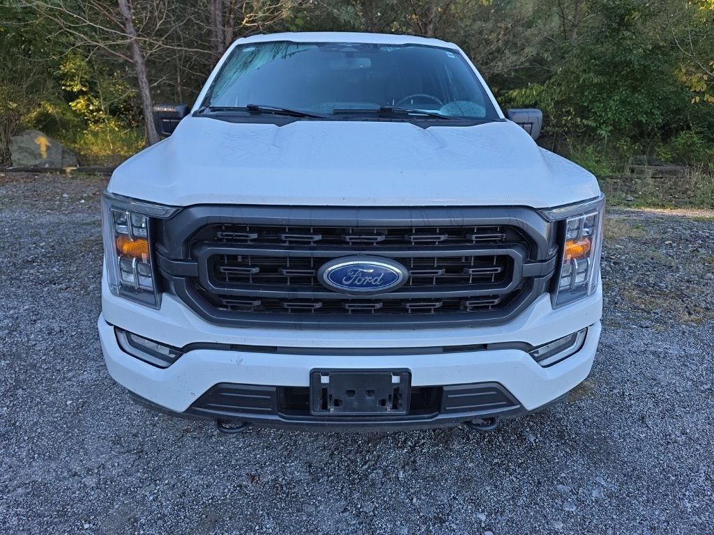 Used 2023 Ford F150 XLT w/ Equipment Group 302A High AWD/4WD image 2