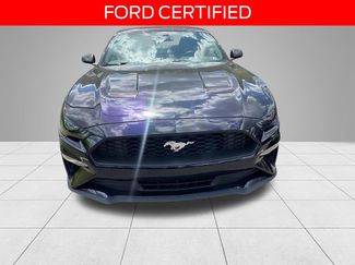 Certified 2023 Ford Mustang Premium w/ Equipment Group 201A RWD video 2