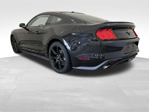 Used 2019 Ford Mustang Coupe w/ Equipment Group 101A image 3