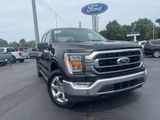 Used 2022 Ford F150 XLT w/ Equipment Group 302A High image 2
