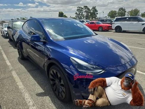Used 2022 Tesla Model Y Performance AWD/4WD image 1