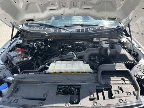 Used 2025 Ford F150 XLT w/ Equipment Group 301A Standard AWD/4WD image 19