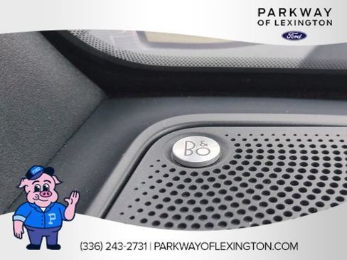 Used 2025 Ford Bronco Badlands AWD/4WD image 14