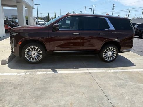 Used 2023 Cadillac Escalade Premium Luxury AWD/4WD image 5