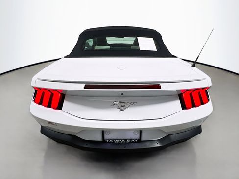 Used 2024 Ford Mustang Premium image 6