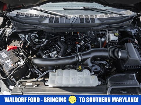 Used 2024 Ford F150 XLT w/ Equipment Group 302A MID AWD/4WD image 21