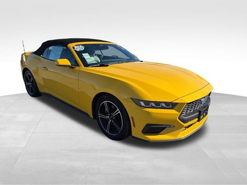 Certified 2024 Ford Mustang Premium image 10