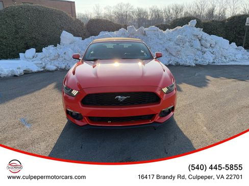 Used 2015 Ford Mustang Premium image 1