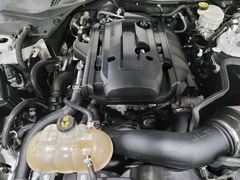 Used 2019 Ford Mustang Premium w/ Equipment Group 201A RWD image 30