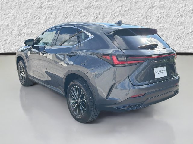 Used 2024 Lexus NX 350 AWD image 5