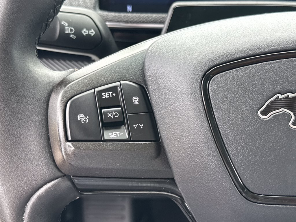 Used 2021 Ford Mustang Mach-E Premium AWD/4WD image 17