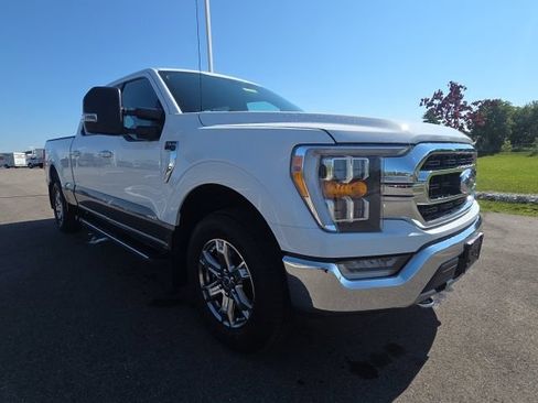 Used 2021 Ford F150 XLT w/ Equipment Group 302A High AWD/4WD image 1