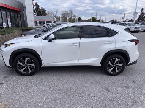 Used 2020 Lexus NX 300h AWD w/ Premium Package image 3