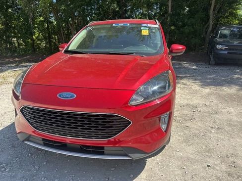 Used 2020 Ford Escape SEL image 6