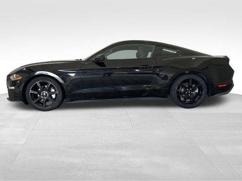 Used 2019 Ford Mustang Coupe w/ Equipment Group 101A image 2