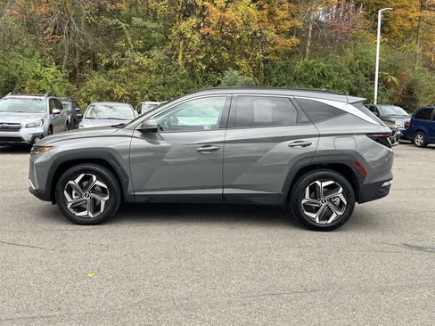 Used 2024 Hyundai Tucson Limited image 2