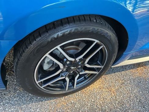 Used 2019 Ford Mustang Premium w/ Ford Safe & Smart Package image 15