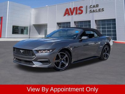Used 2025 Ford Mustang Premium