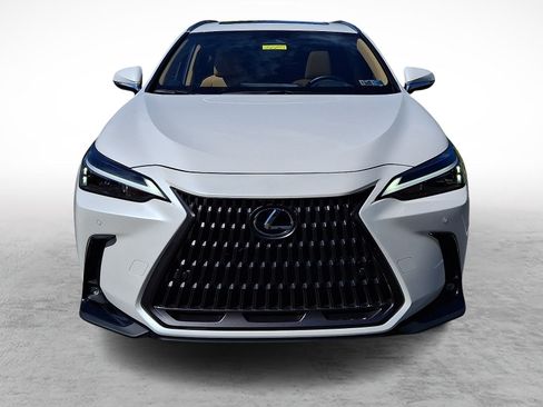 Certified 2024 Lexus NX 350h AWD image 2